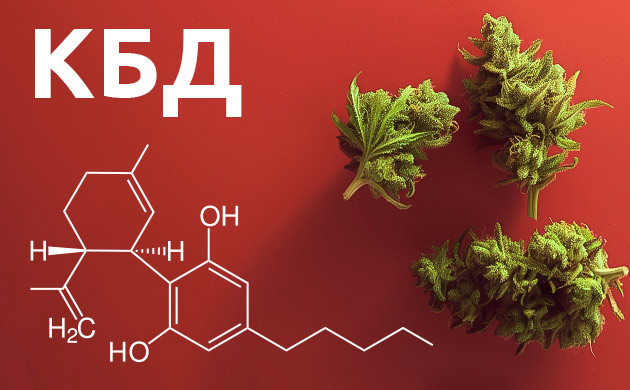 Что такое КБД