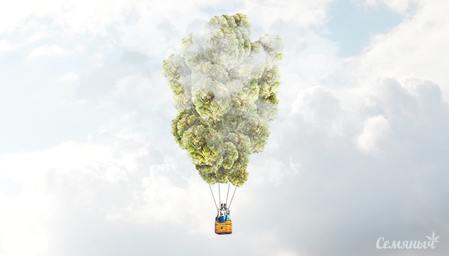 Сативный High эффект