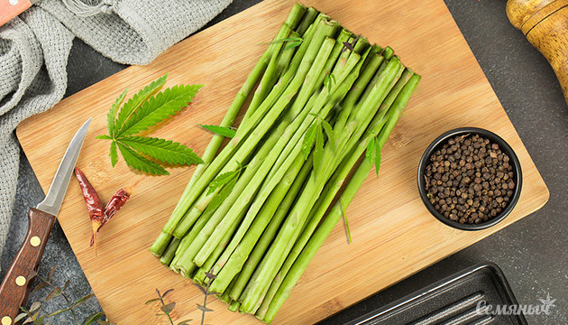 Стебель конопли и способы его применения