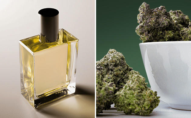 Этапы сушки в Cryo Cure