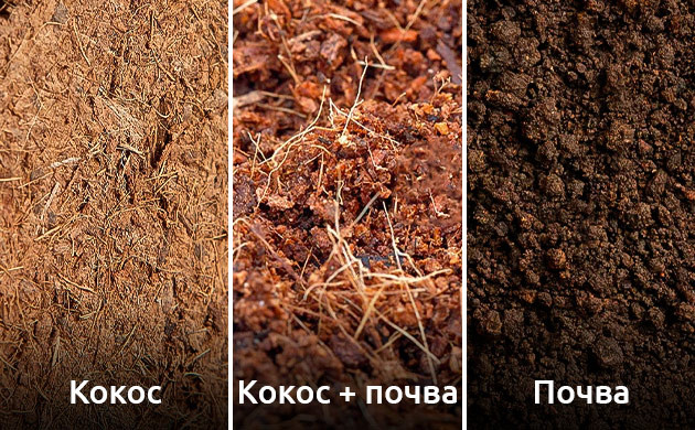 Выбор субстрата для автоцветущих сортов