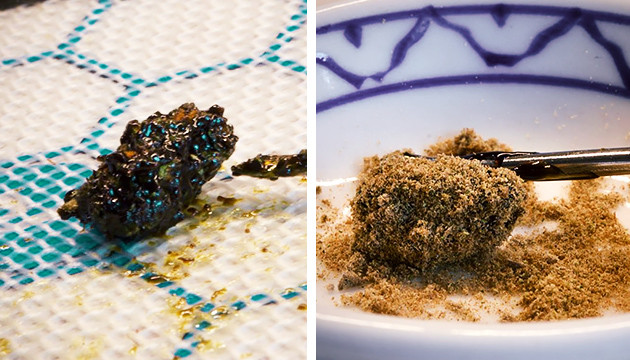 Шишка в конопляном экстракте