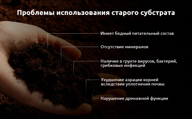 Проблемы повторного использования конопляной почвы Проблемы, возникающие при повторном использовании конопляной почвы