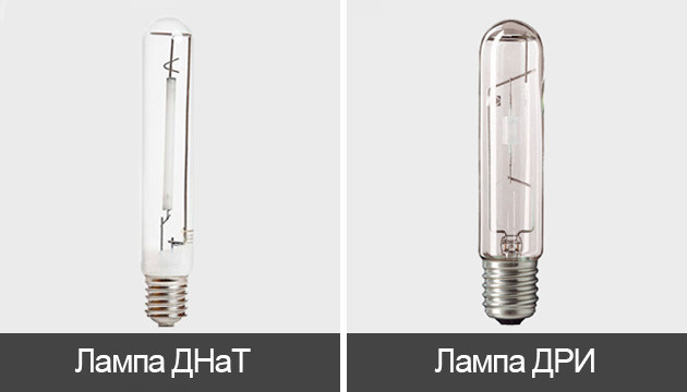Лампы ДНаТ и ДРИ для конопли