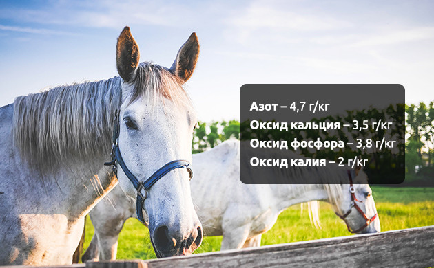 Применение конского навоза Состав конского навоза