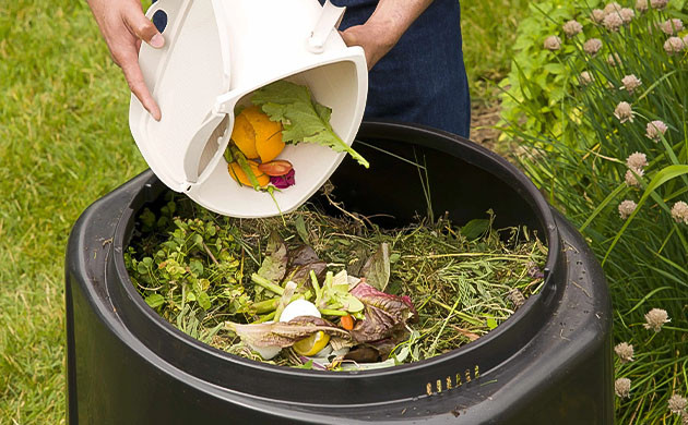Органическая составляющая живого грунта