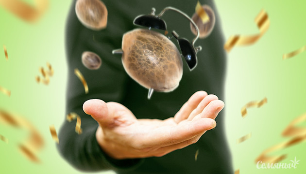 Автоцветы Семяныча