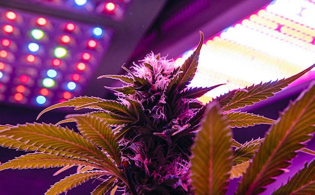 LED светильники