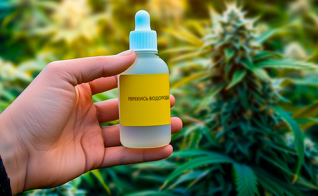 Перекись водорода для кислорода в гидропонике