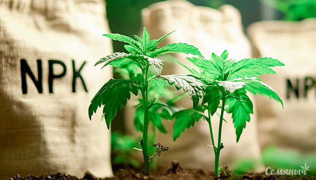 Значимость NPK и других веществ