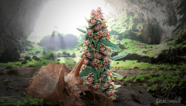 Ландрейс в пещере