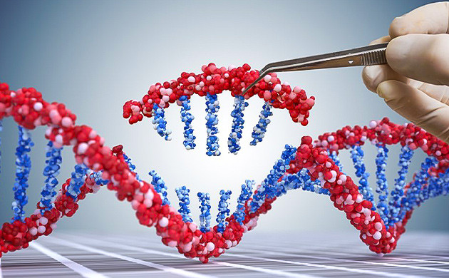 Тонкости выбора целевого гена