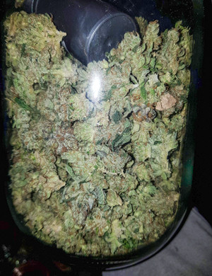 Сухие шишки в банке