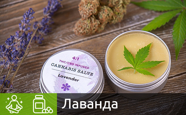 Цветок лаванды