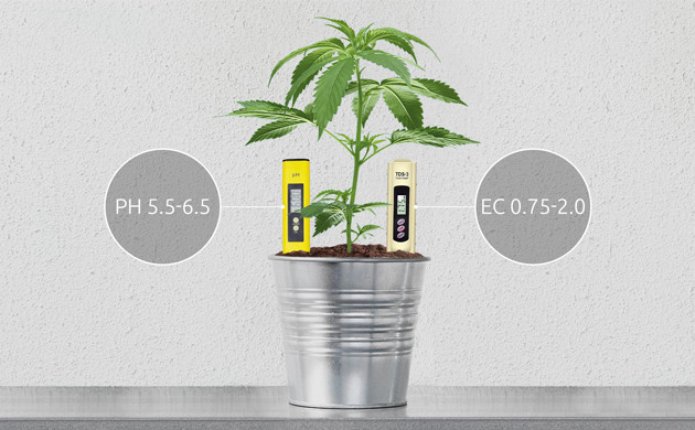 Кислотность и электропроводимость почвы