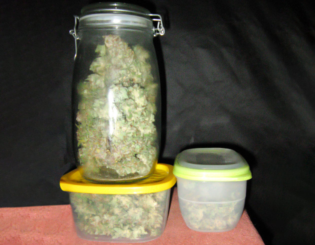 Урожай в контейнерах и банке