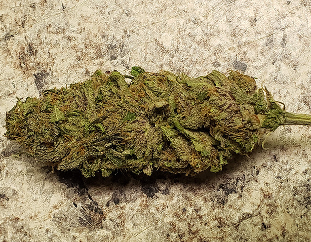 Шишка после сушки