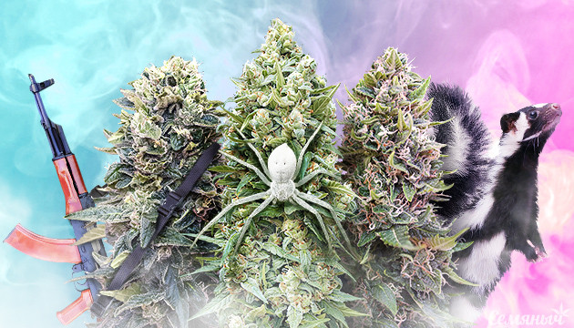 Представители классических генетик