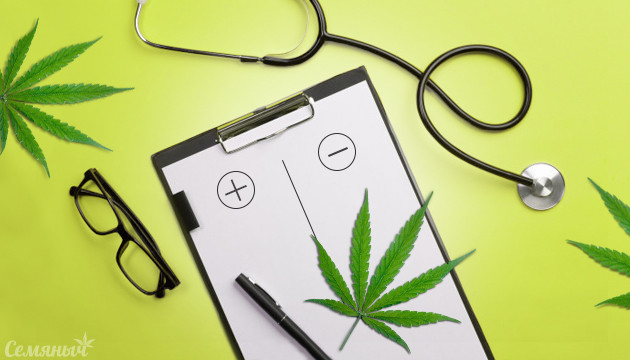 Польза и вред марихуаны