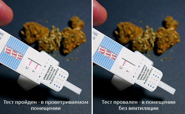 Тесты на наличии ТГК у пассивных курильщиков Результаты тестов в проветриваемом помещении и без вентиляции