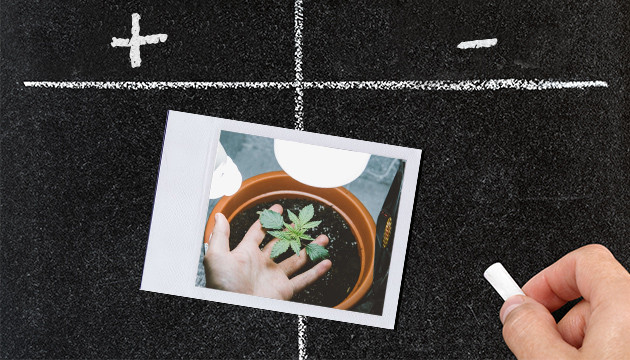 Преимущества и недостатки индора