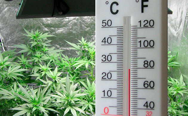 Переохлаждение почвы