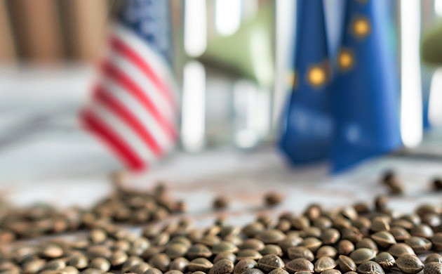 Удобный интерфейс и безопасная регистрация на GroverZ