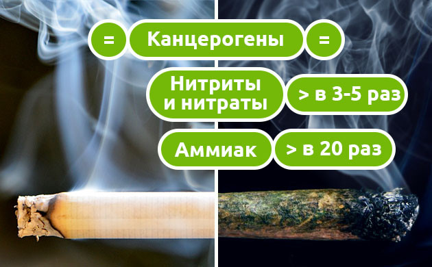 Результаты эксперимента Дэвида Муара Сравнение вредности дыма сигарет и марихуаны