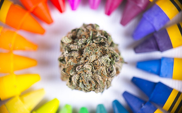 Каннабис и творческий потенциал