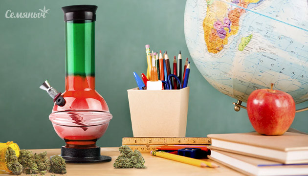 Конопля и школаСорта для учебы