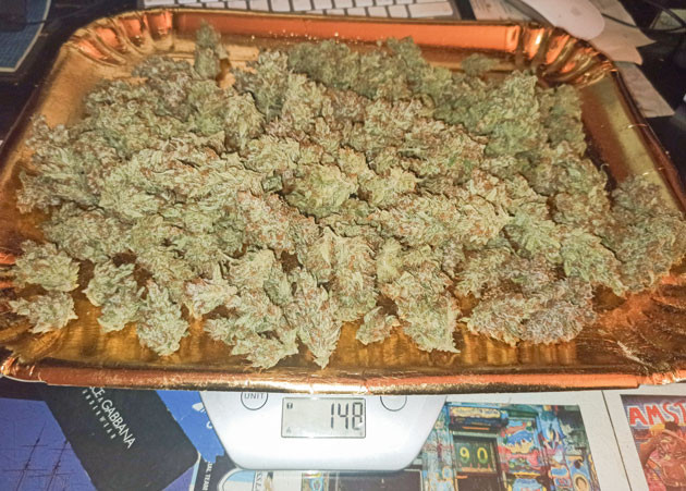 Процесс обрезки Tropicana Cookies Auto