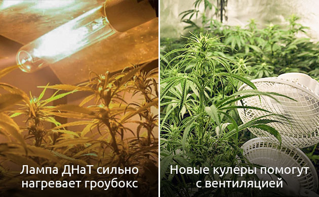 Поддержание оптимальной температуры