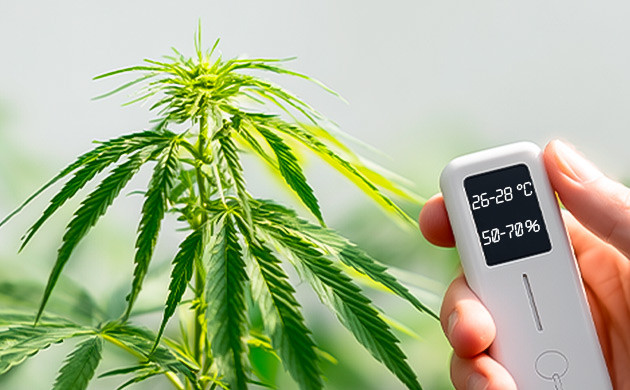 Правильный микроклимат Базовые ориентиры, которых стоит придерживаться