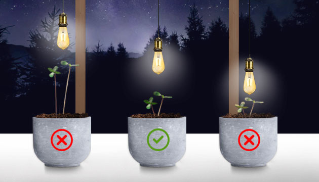 Неправильное освещение