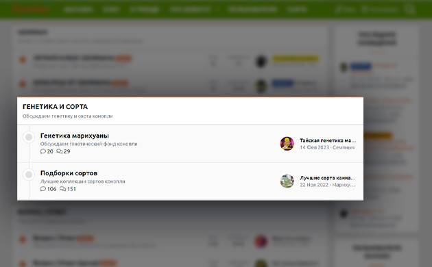 Раздел форума семяныча – Генетика и сорта