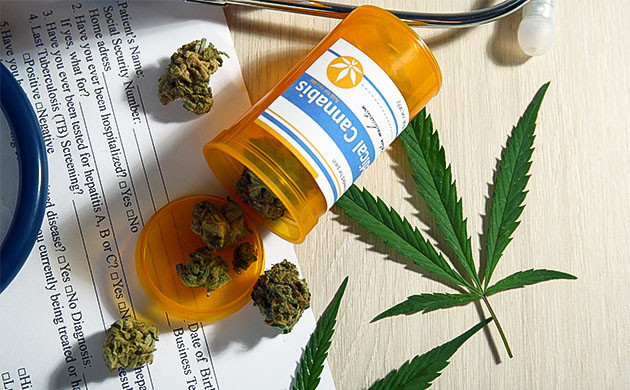 Терпены в медицинской конопле