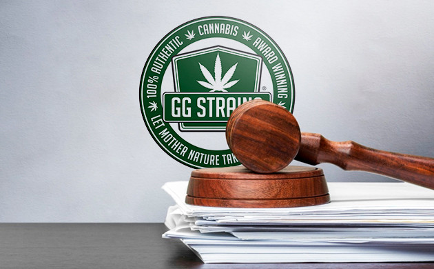 Что произошло с Gorilla Glue #4?