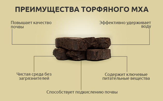 Преимущества торфяного мха