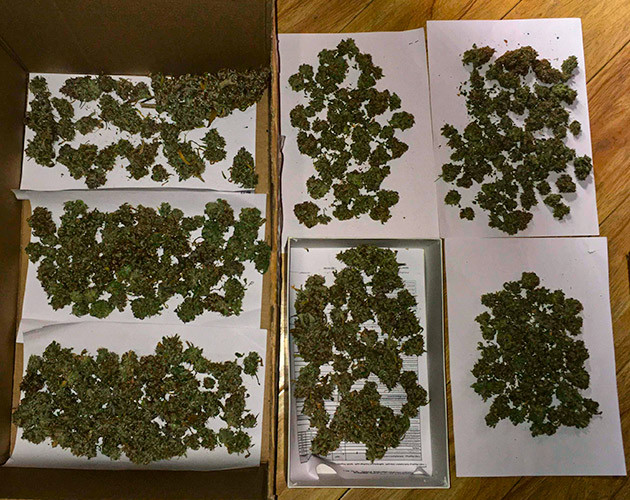 Сбор урожая и окончательные результаты