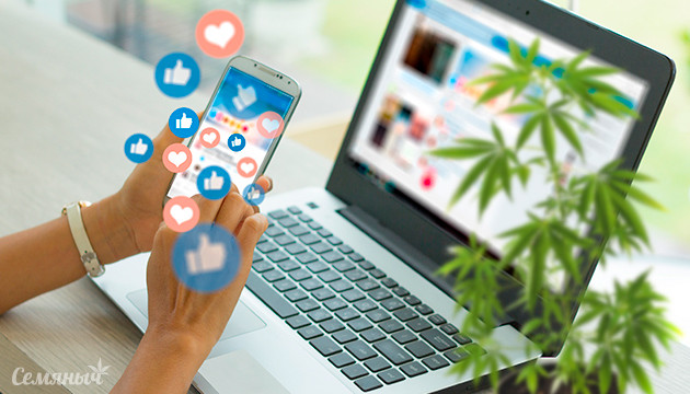 Cорта конопли для дня соцсетей