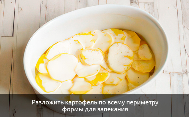 Разложите картофель по всему периметру формы