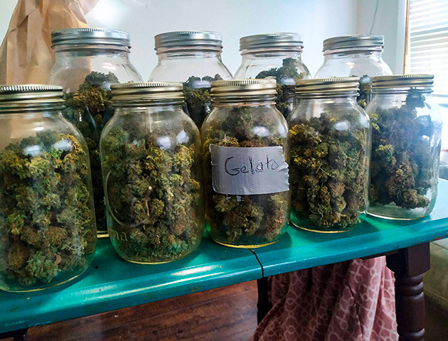 Полученный урожай