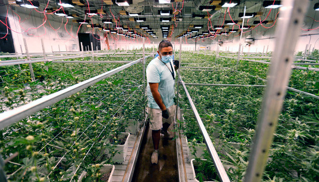 Выращивание в гроуруме