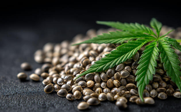 Корм для животных