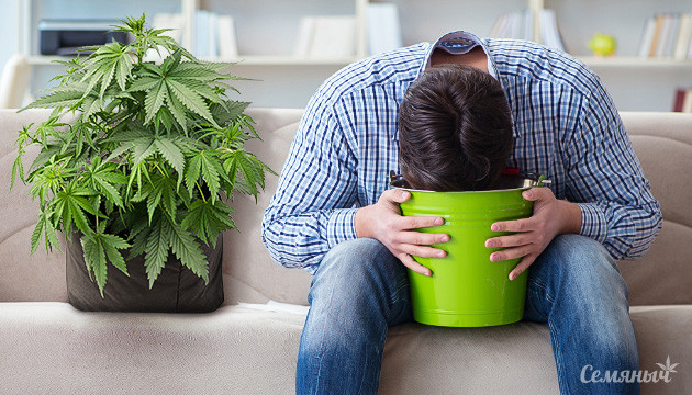 Как побороть тошноту от конопли