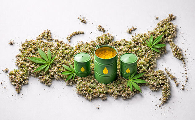 Потенциал и применение конопляного топлива Производство и распределение конопляного биотоплива