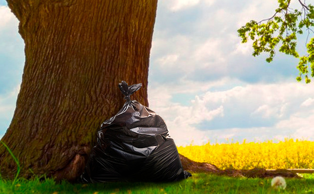 Дезинфекция почвы солнечными лучами Дезинфекция почвы солнцем