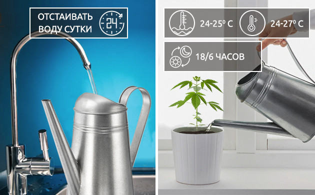 Отстаивать воду сутки и следить за получаемым коноплей светом