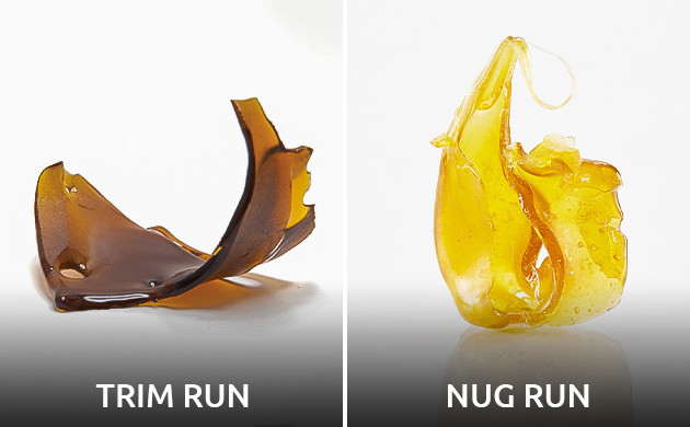 TRIM RUN vs NUG RUN: Разница в качестве экстрактов конопли