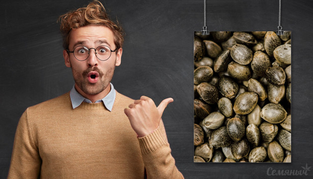 Факты о конопле